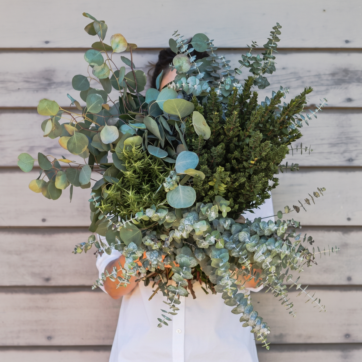 A person in a white shirt holds a large, lush bouquet of green eucalyptus and other foliage in front of a light wood plank wall.