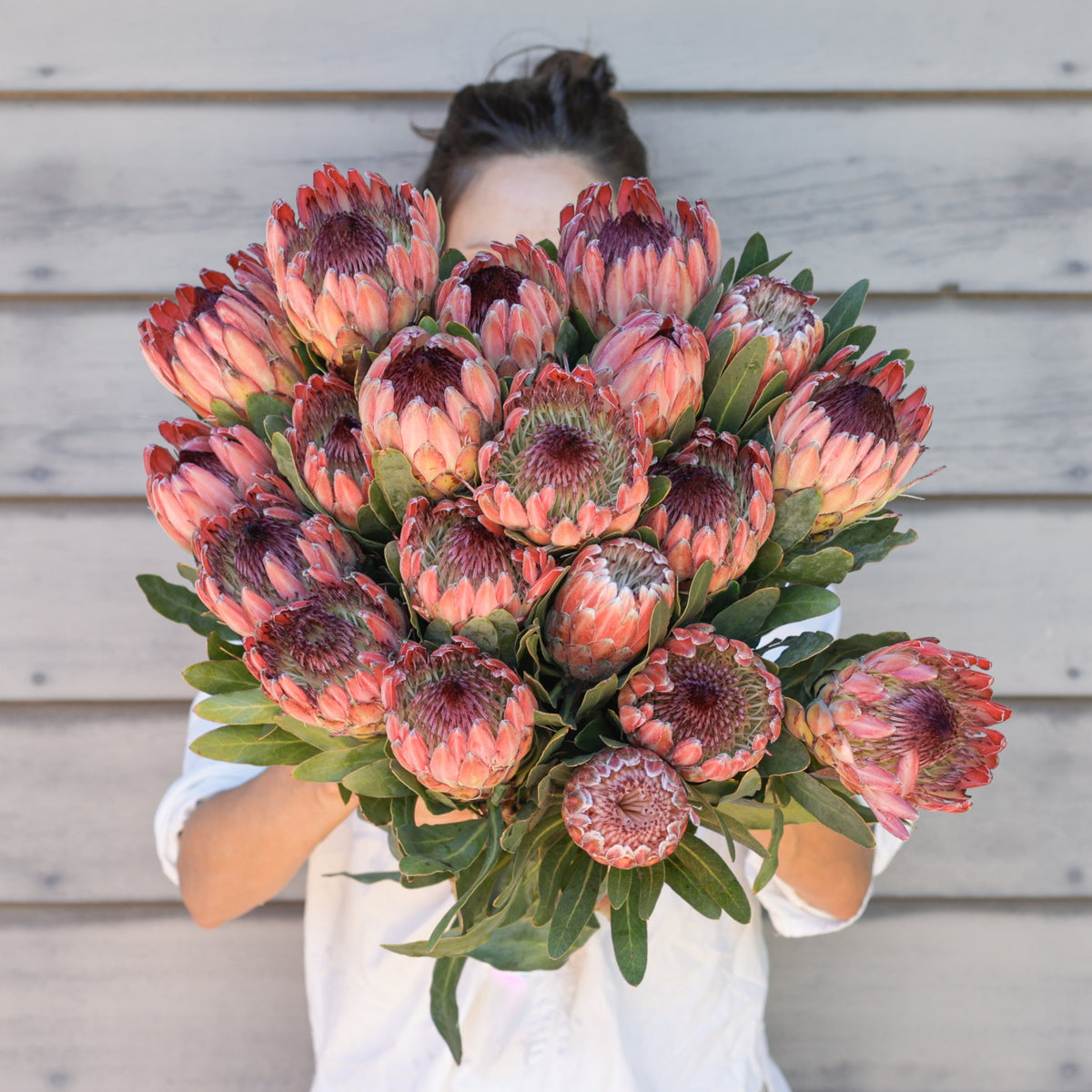 Wedding Protea Flowers - Pink