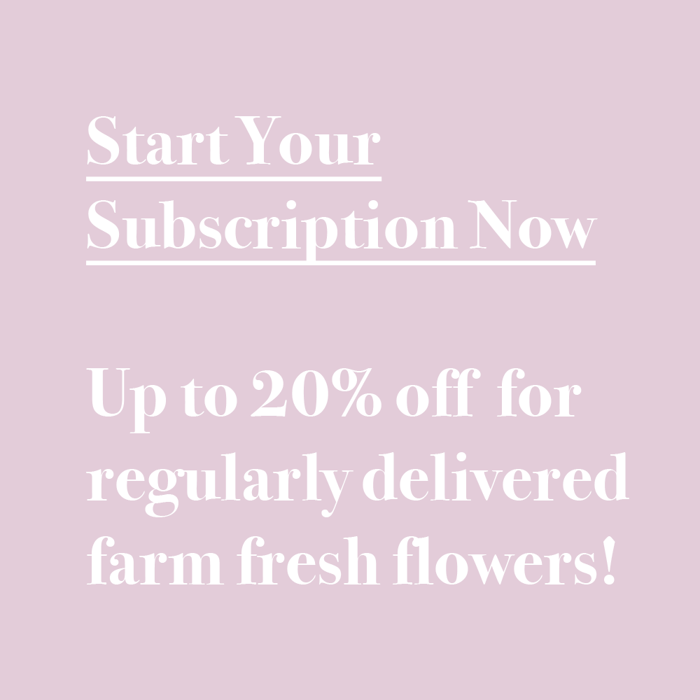 Start A Flower Subscription