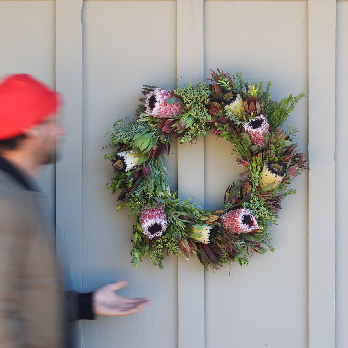 Holiday protea wreath hanging on a door