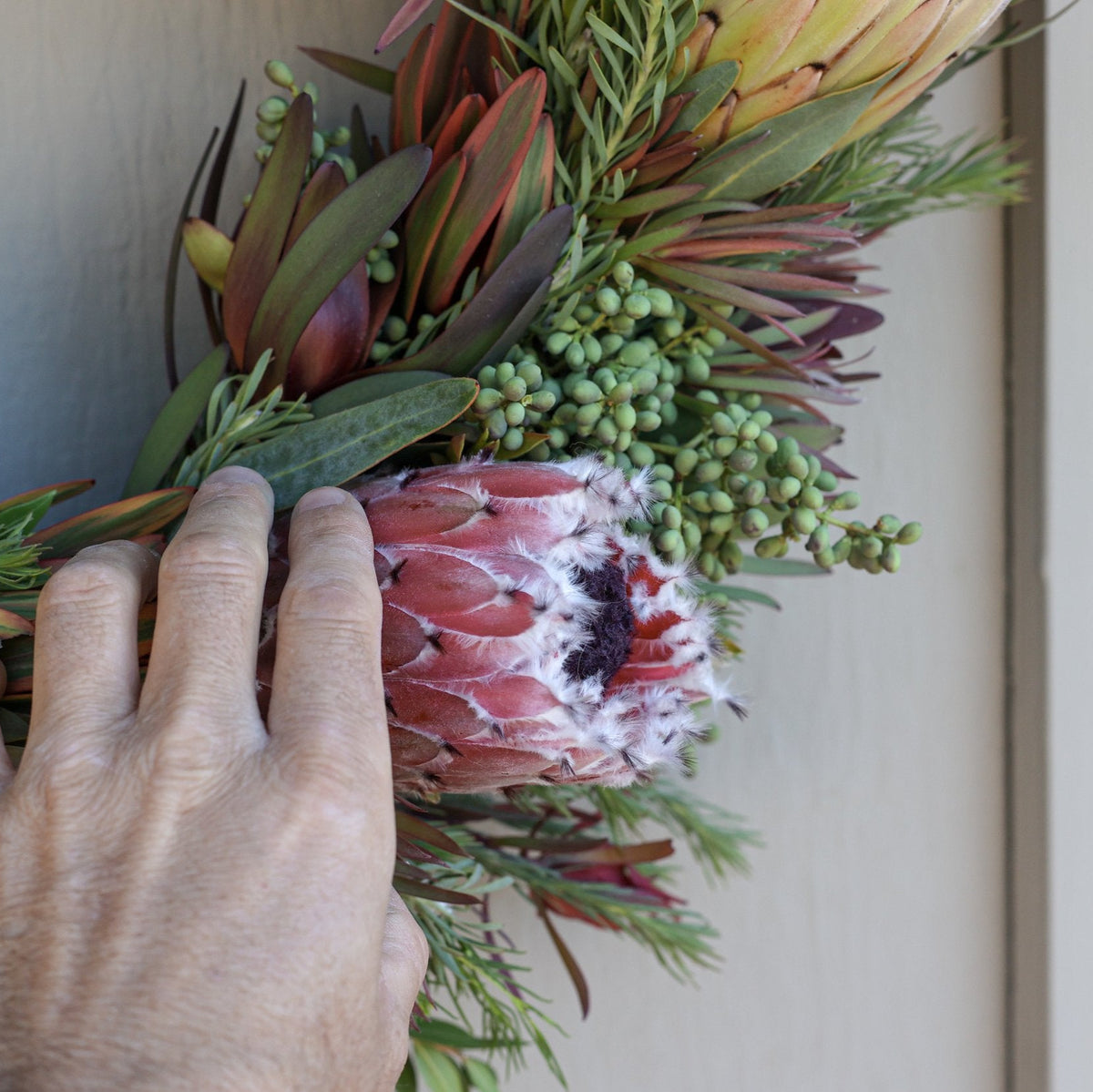 Hang touching a holiday protea wreath hanging on a door