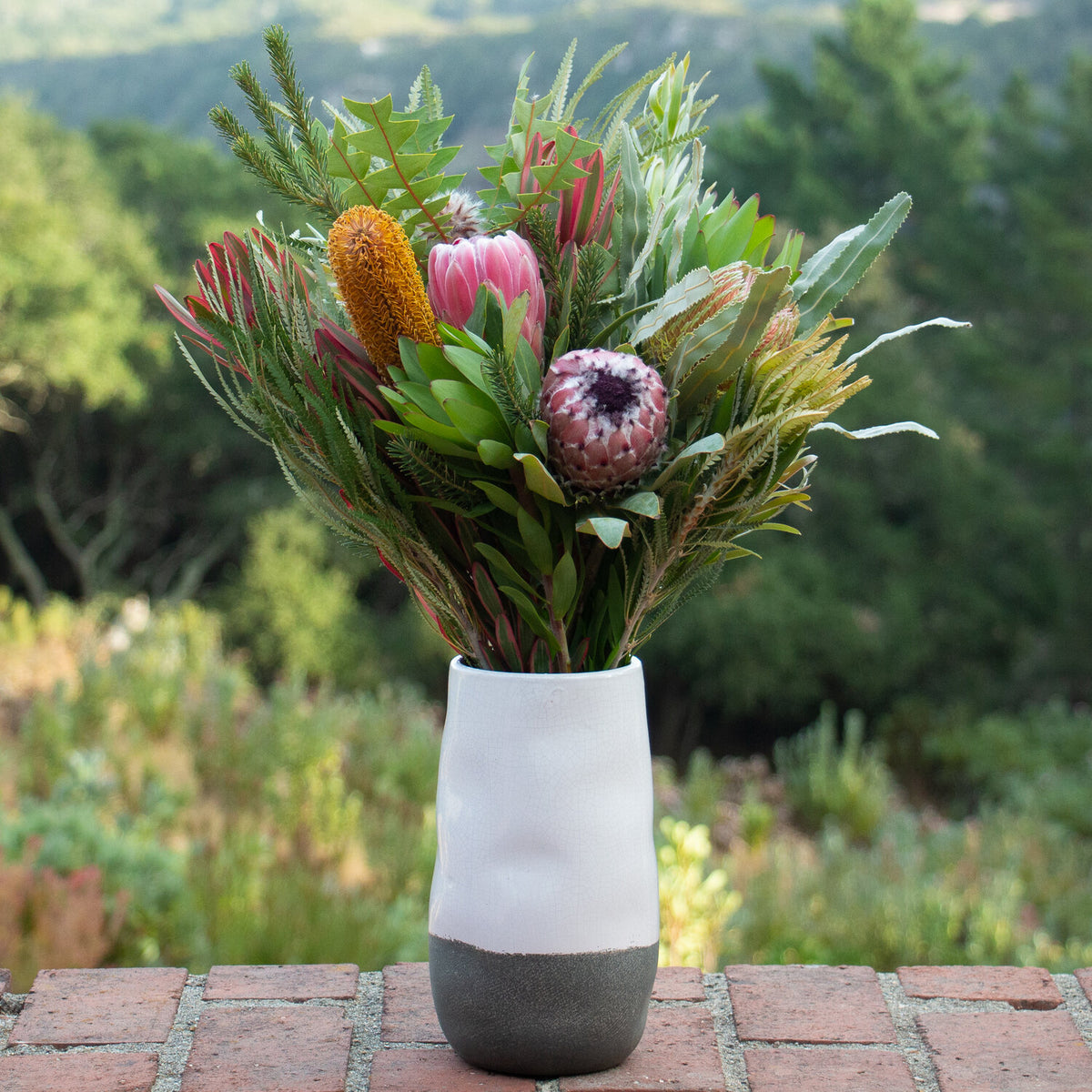 Protea bouquet outdoors in a white and grey vase. Protea farm, protea arrangement