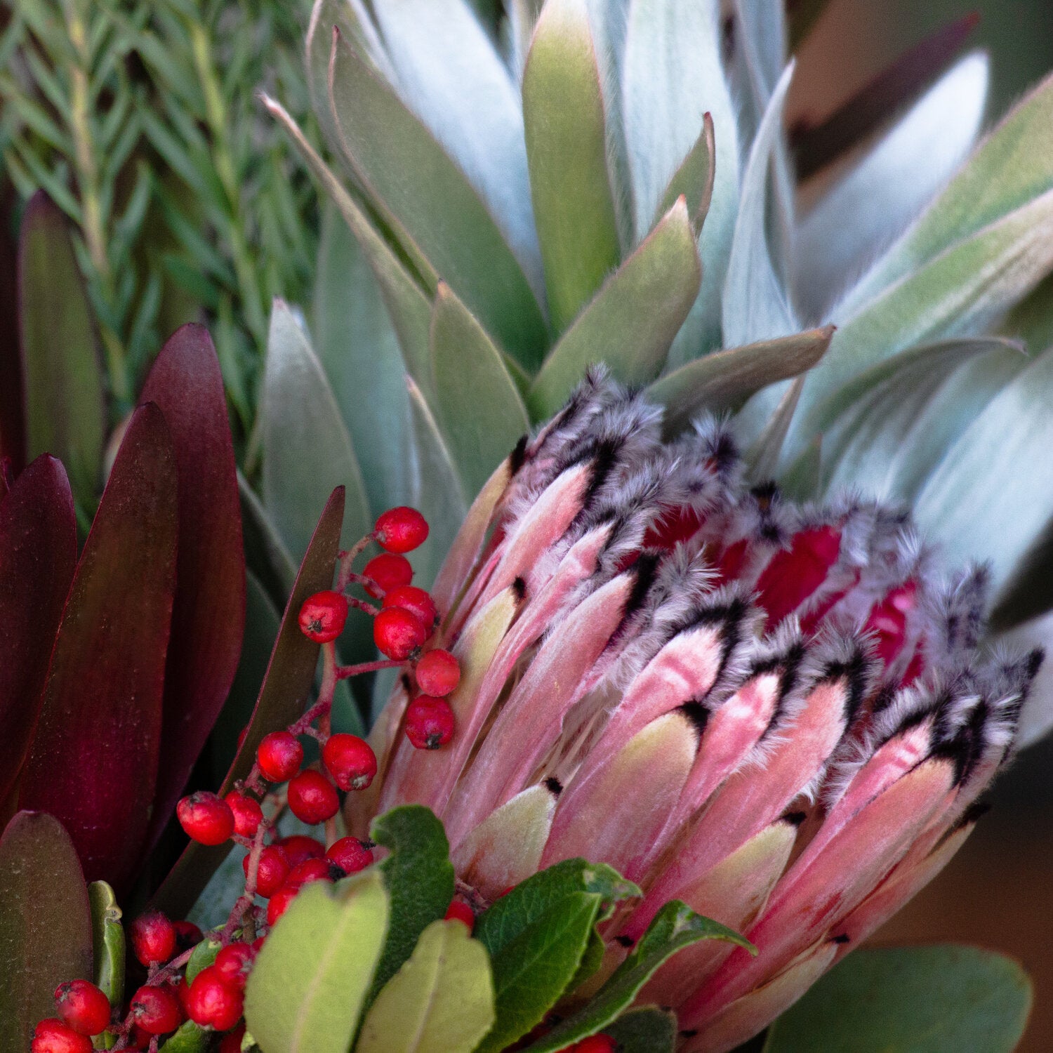 Happy Holiday Bouquet