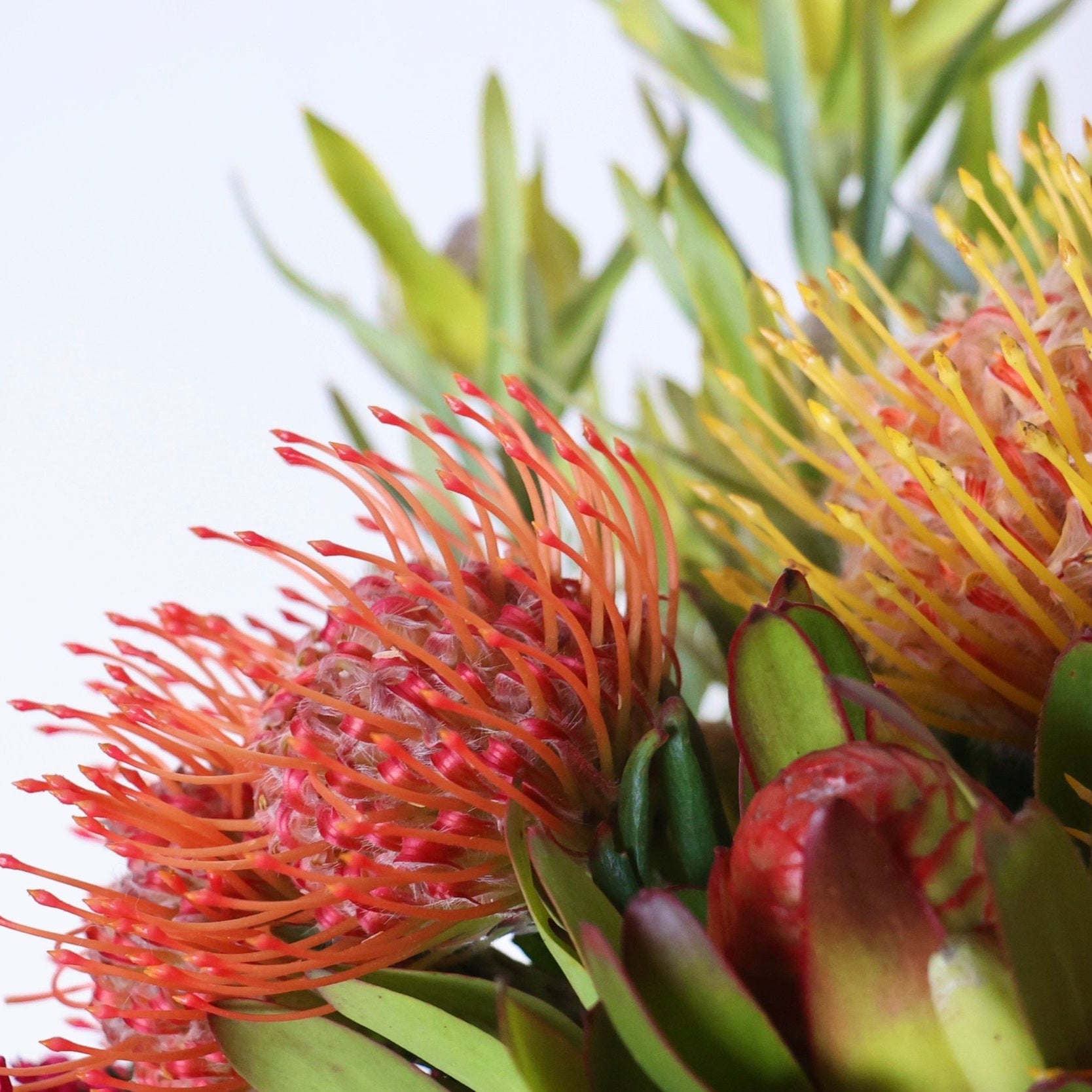Pincushion Perfection Bouquet