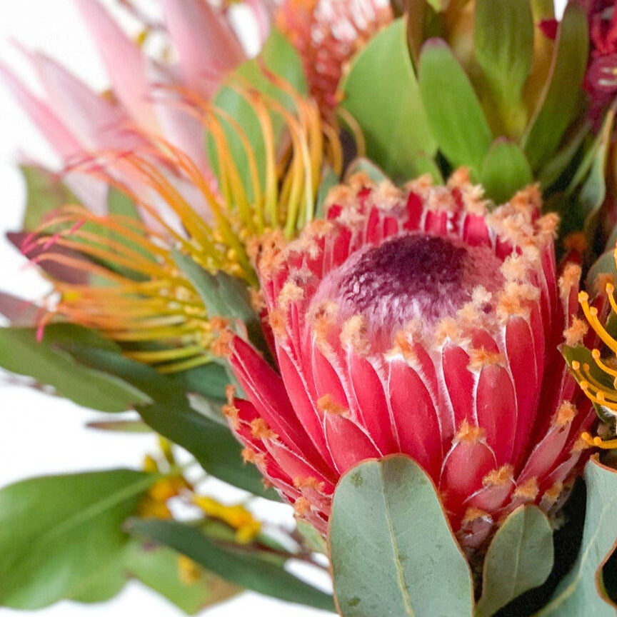 Winter Bloom Bouquet
