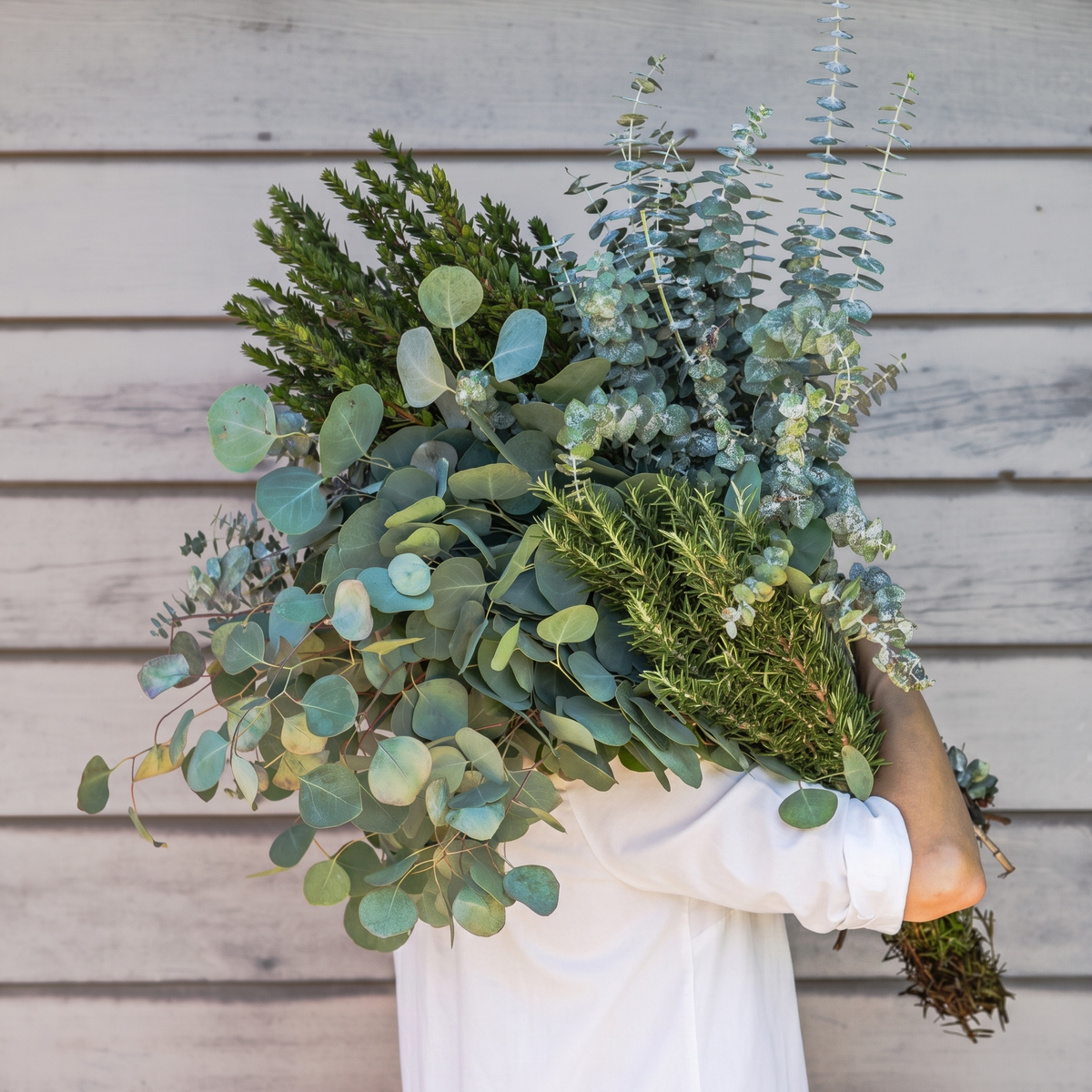 A person in a white top holds a large bouquet of green foliage, including eucalyptus and rosemary, in front of a light gray wood plank wall.