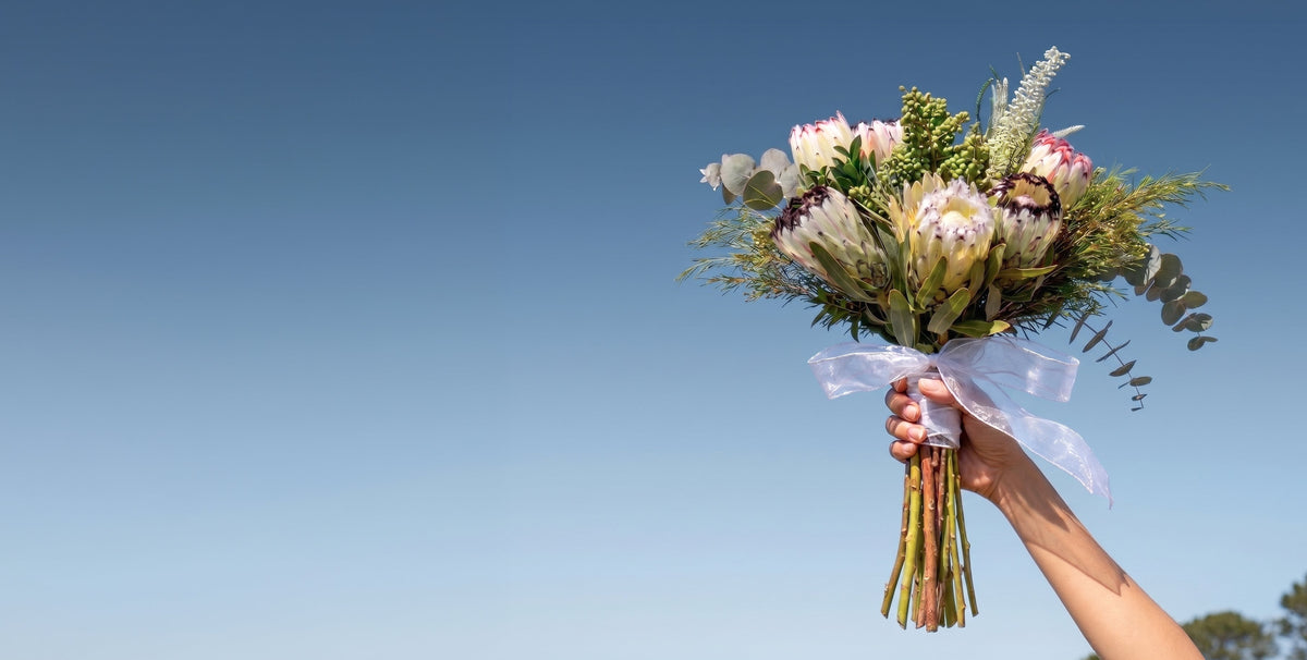 A person holding a white protea bouquet against a blue sky