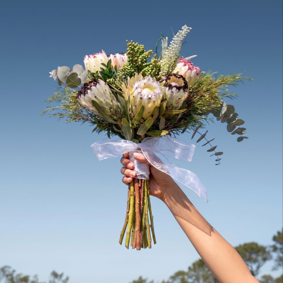 Hand holding a white protea bouquet against a blue sky