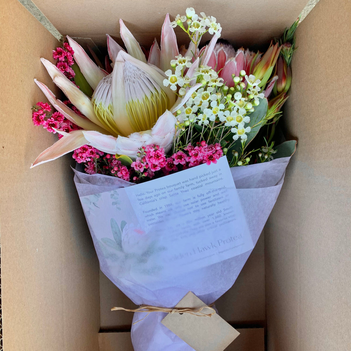 Protea bouquet in box ships nationwide, Protea arrangement packed and ready to ship in a box. King Protea.