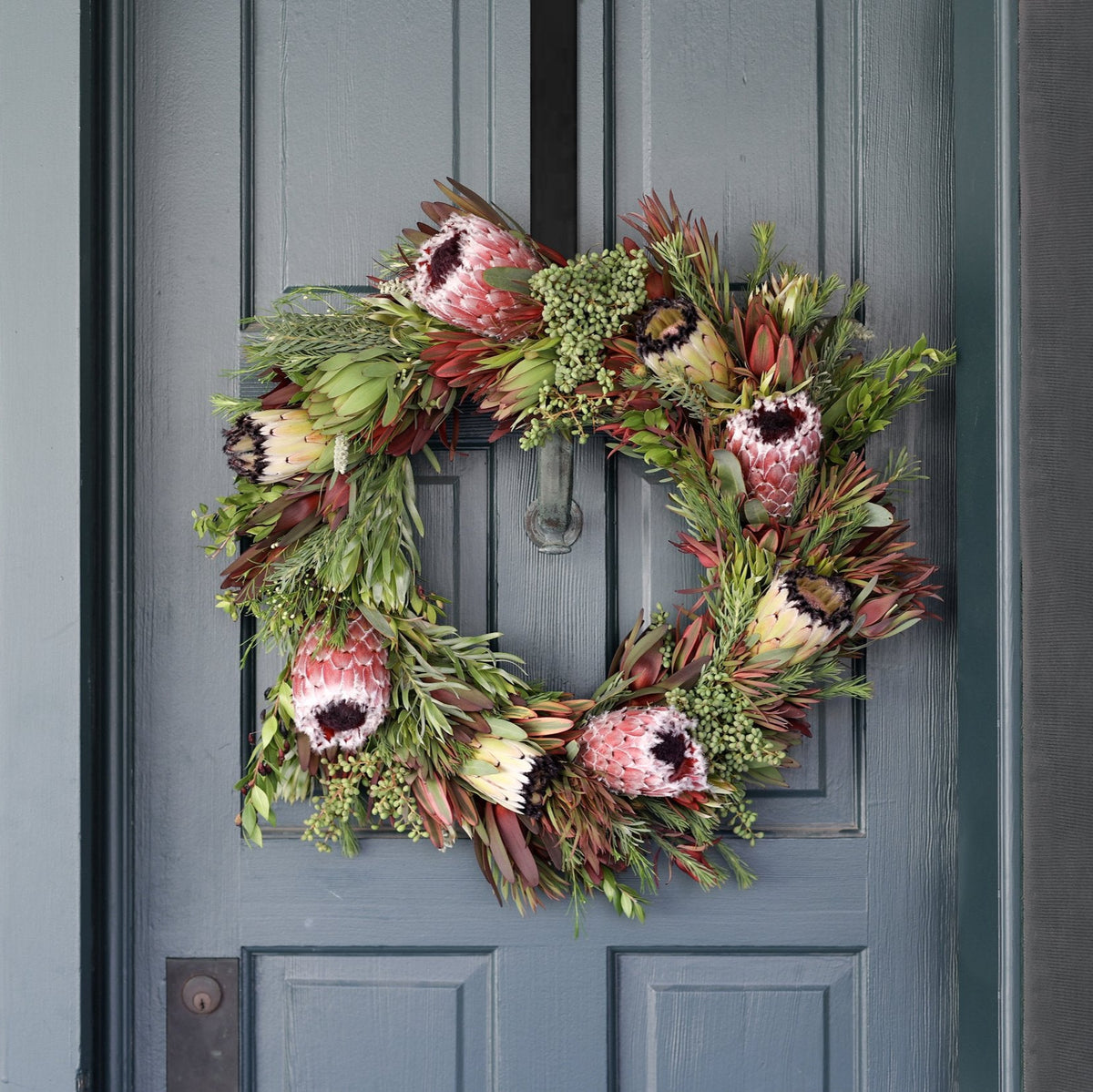 Holiday protea wreath hanging on a door