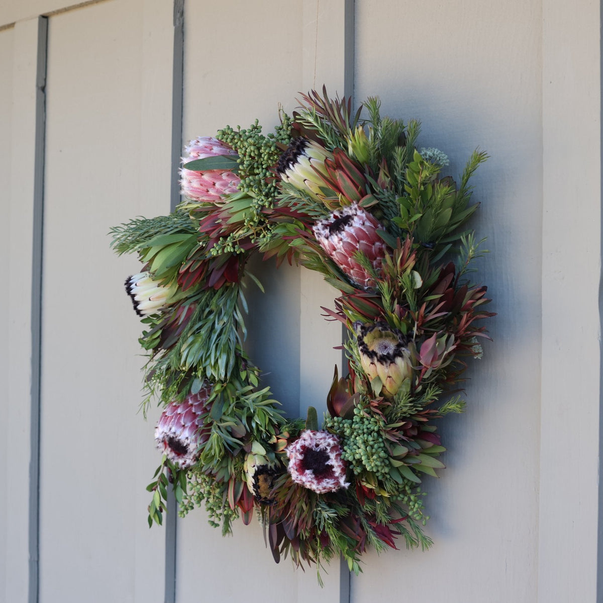 Holiday protea wreath hanging on a door