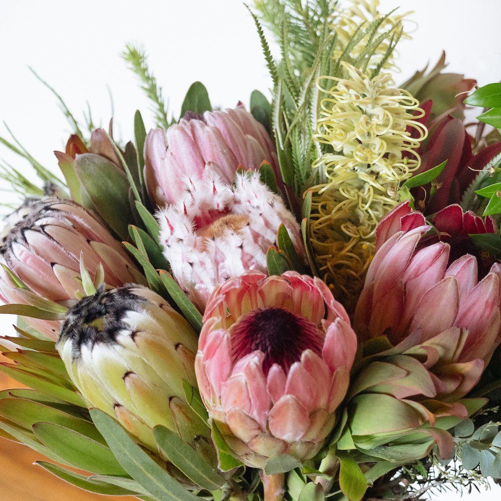 Closeup of a protea arrangement, sustainable protea bouquet, pink, yellow, white and green protea flowers