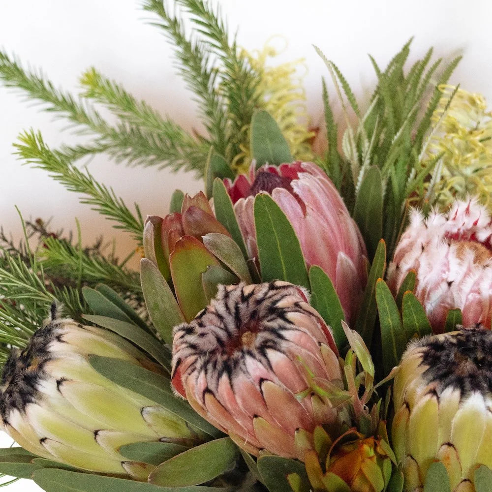 Closeup of a protea arrangement, sustainable protea bouquet, pink, yellow, white and green protea flowers